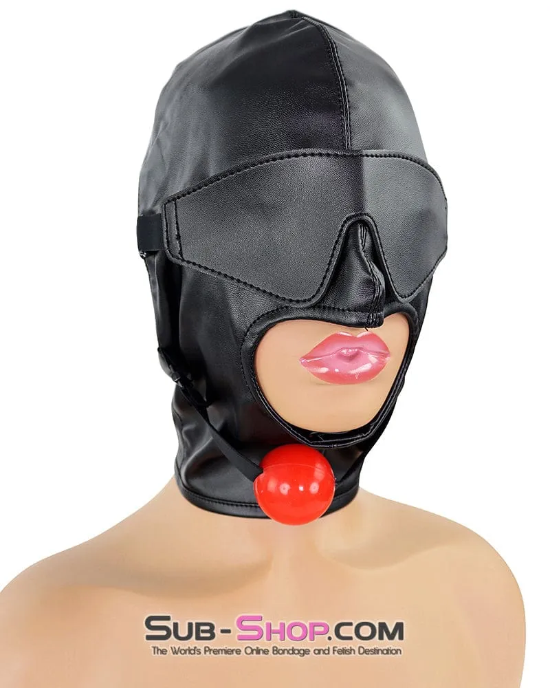 1833DL  Soft Lacing Hood with Removeable Blindfold and Ball Gag