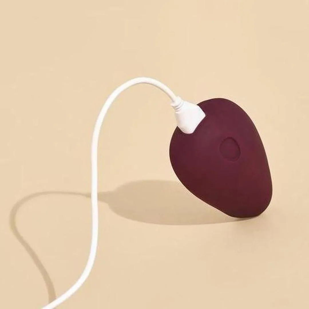 Dame Pom Flexible Palm Sized Vibrator - Plum