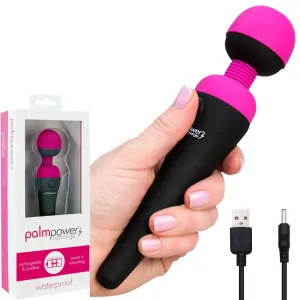 PalmPower Massage Wand Recharge Waterproof