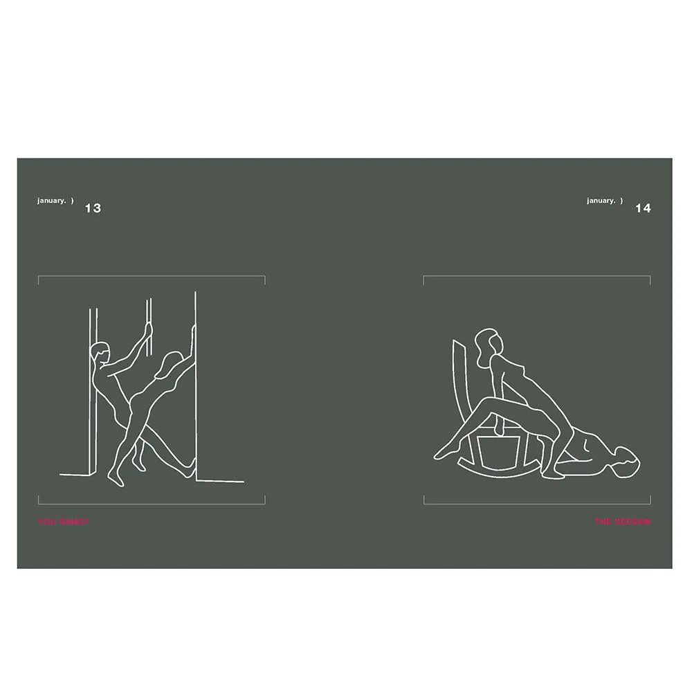 Position of the Day Revised and Updated: Sex Every Day in Every Way 