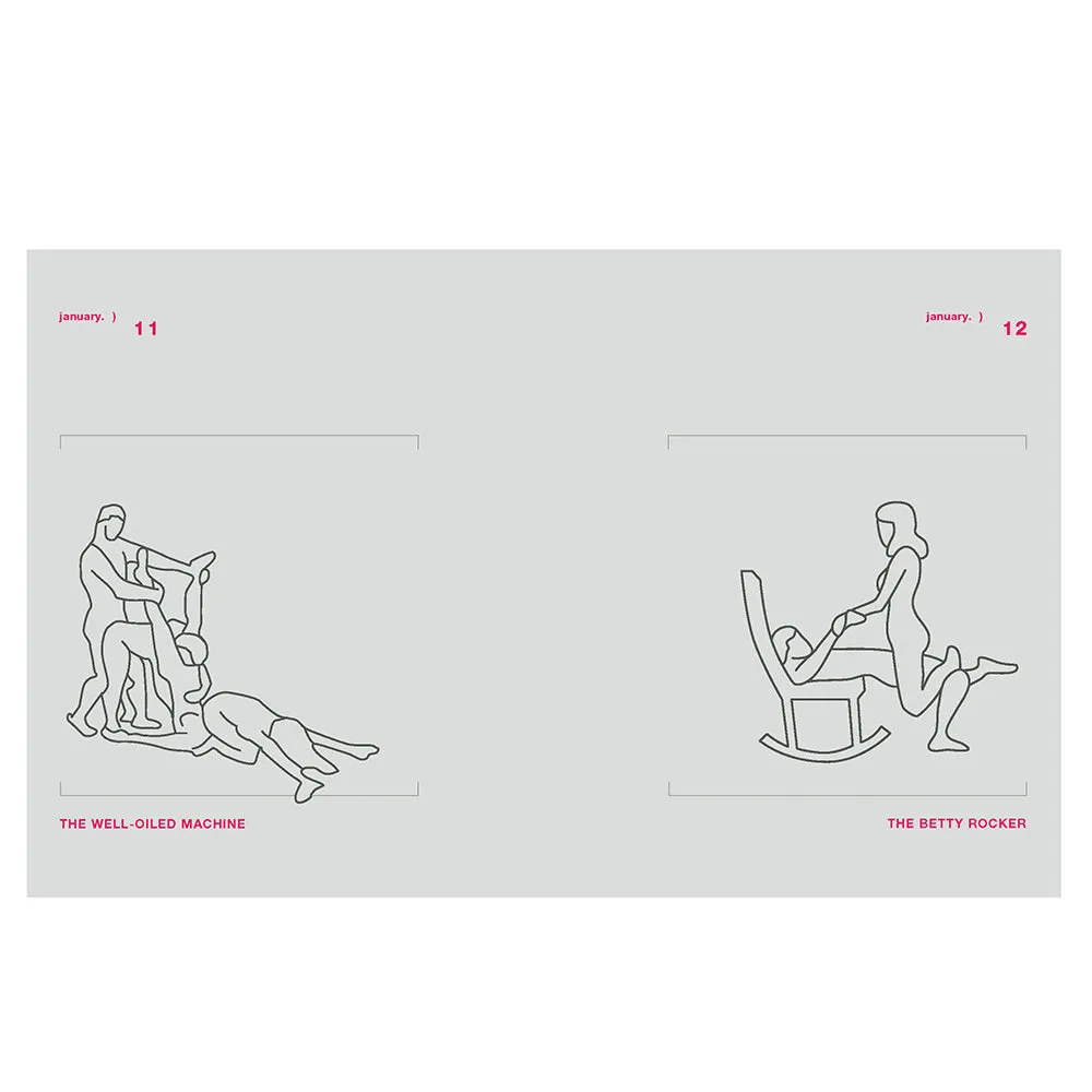 Position of the Day Revised and Updated: Sex Every Day in Every Way 