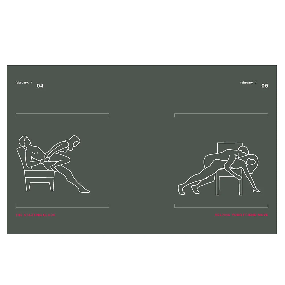 Position of the Day Revised and Updated: Sex Every Day in Every Way 