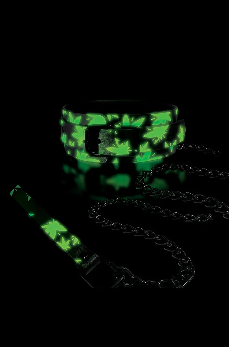 Stoner Vibes Glow In The Dark Collar and Leash