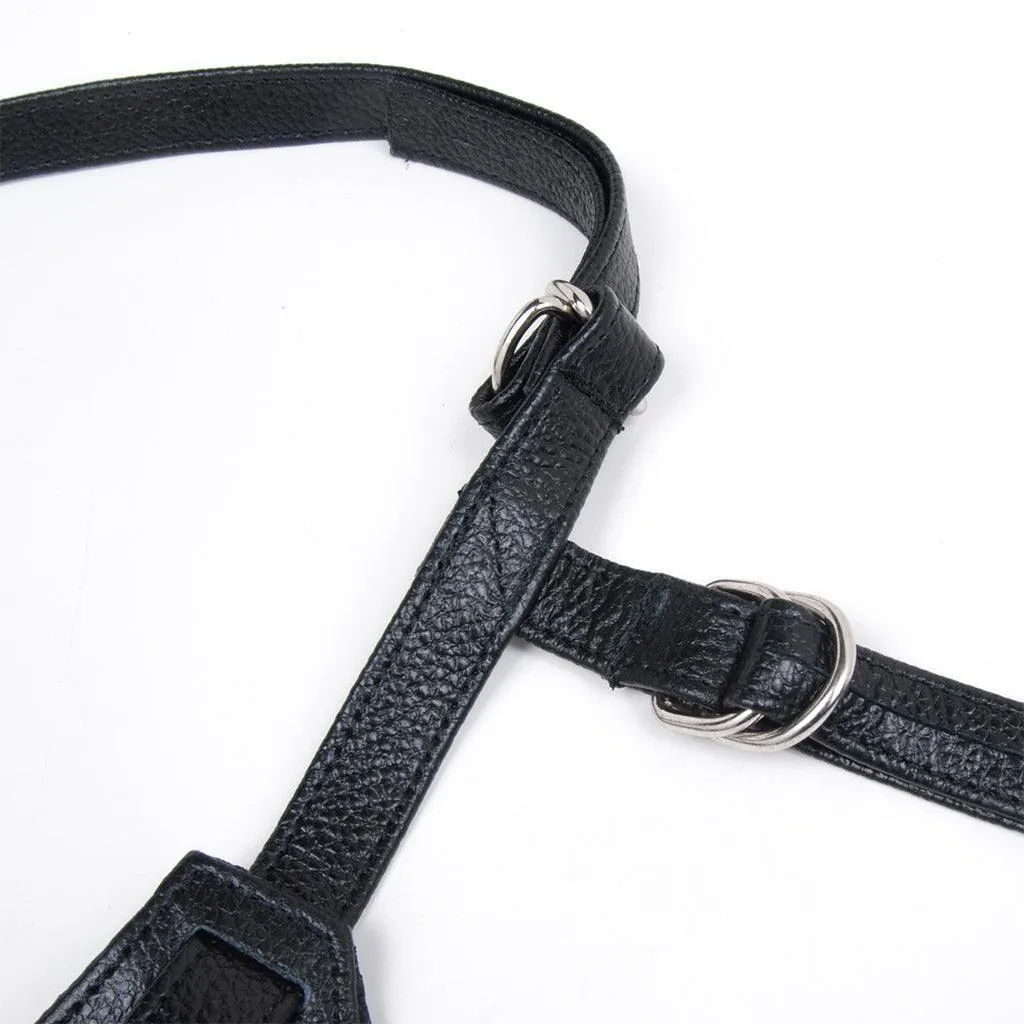 Terra Firma Dee Strapon Harness. Black